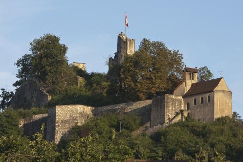 6256_4_Baden-Ruine-Stein.jpg