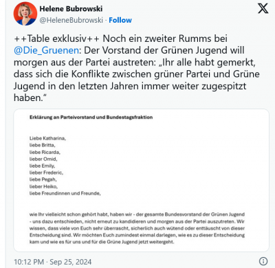 Screenshot 2024-09-26 at 08-29-20 Grüne in der Krise Vorstand der Grünen Jugend verlässt die Partei und will neuen linken Jugendverband gründen - WELT.png