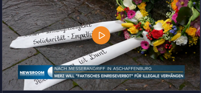 Screenshot 2025-01-23 at 20-31-45 Messerattacke Handy-Video soll Festnahme des Aschaffenburg-Täters zeigen - Video - WELT.png